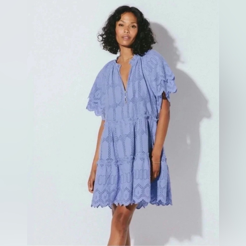 Cleobella Alma Embroidered Pointelle Mini Dress in a Blue/Purple Size Large - Picture 3 of 11